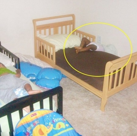 家里到处都是床:奇葩熊孩子的神级睡姿
