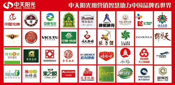 中天阳光营销策划机构---用智慧助力中国品牌