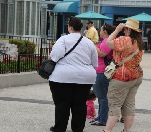 美国600斤肥胖人群"非正常"生活