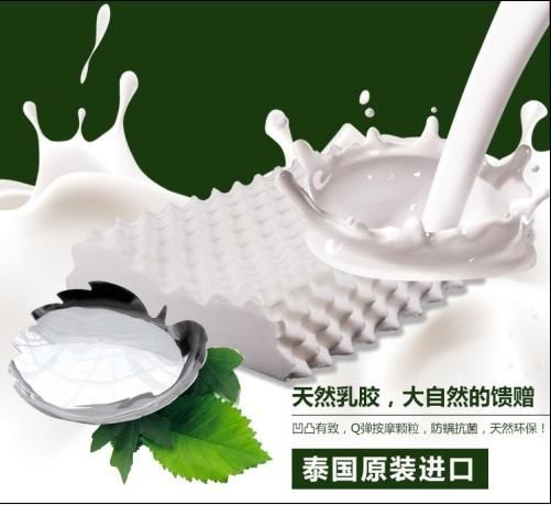 泰国皇家乳胶品牌ChangThai家居进驻中国市场