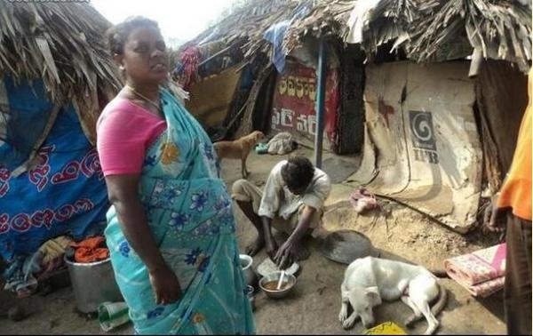 在赤贫和脏乱中穿行的印度农村:茅草屋下的生