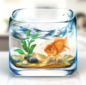 玻璃鱼缸
