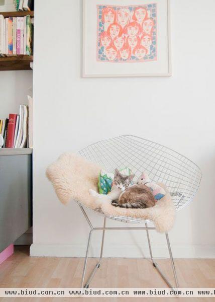 家养小猫，懒懒的躺在椅子上晒太阳。旁边的书柜摆满自己喜欢看的书籍，白色的墙面与地板营造了一种暖洋洋的的氛围。
