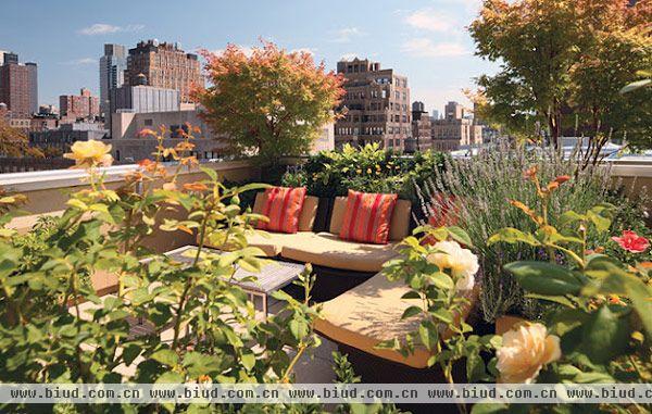 如果你家里有一个楼顶可以供你设计，那么设计一个花园应该是不错的选择，养养绿色植物，陶冶下情操，夏天可以乘凉，冬天可以享受阳光，好处多多。