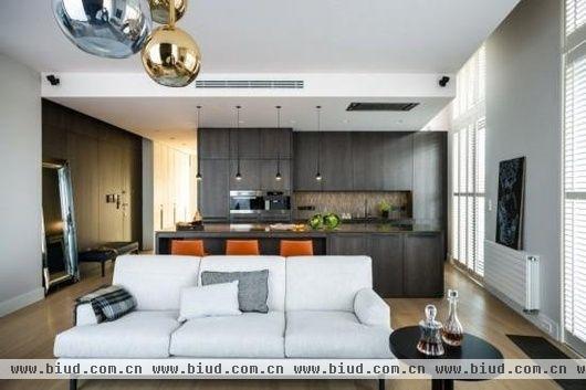 整个公寓用色保守，但从家具或装修的细节看都能看出主人品位的非凡。