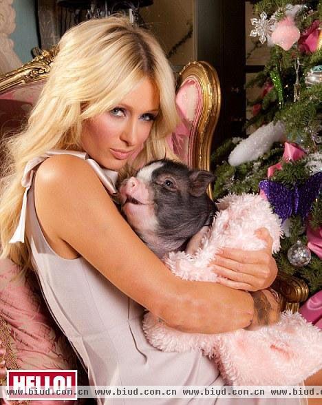 帕丽斯·希尔顿 (Paris Hilton) 特喜欢小动物，她在洛杉矶的别墅里养了6只狗、两只青蛙、两只兔子、一只鹦鹉，甚至还有一头小猪！