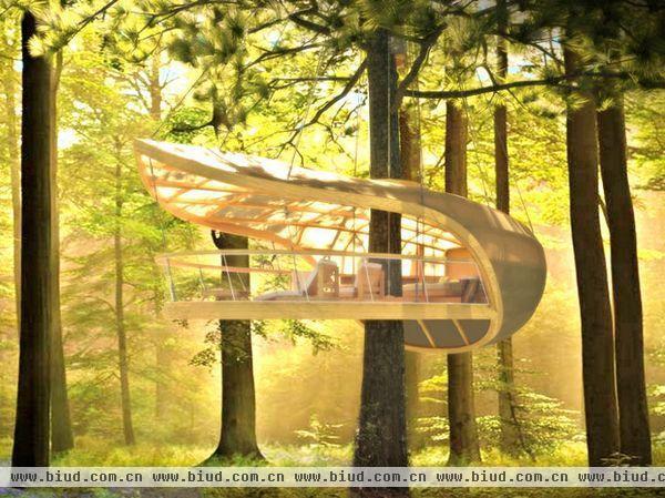 在加拿大安大略省的 E’terra Samara 生态度假村，这个叶形悬浮树屋能让你体验睡在树上的浪漫啦。