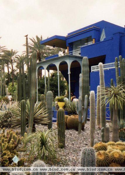 著名服装设计师伊夫圣罗兰 (Yve Saint Laurent) 生前同搭档皮埃尔·布尔热 (Pierre Berge) 在摩洛哥马拉喀什购下了一片私人花园。它为这名顶尖法国设计师提供了一片休憩场所。