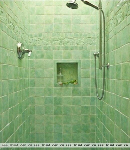 缺少绿色的家居往往会显得死板、单调和平庸。现代的浴室设计一如既往地追求着简洁和优雅，然而往往会缺少着一种灵气和生机。拒绝浴室中的单调与无趣，你有否想过用绿色点缀你的卫浴空间呢？