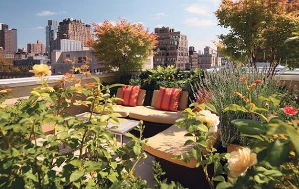 屋顶花园的设计和建造要巧妙利用主体建筑物的屋顶、平台、阳台、窗台和墙面等开辟绿化场地，并使之有园林艺术的感染力。不妨可以利用你的天台