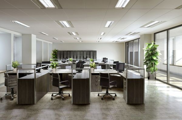 办公室摆放的植物，办公室的支付摆放的位置有可能会影响到您职场上的运势。