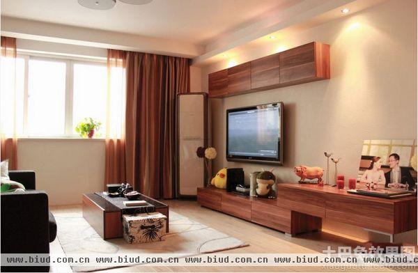 宜家风格小户型客厅实木装修设计