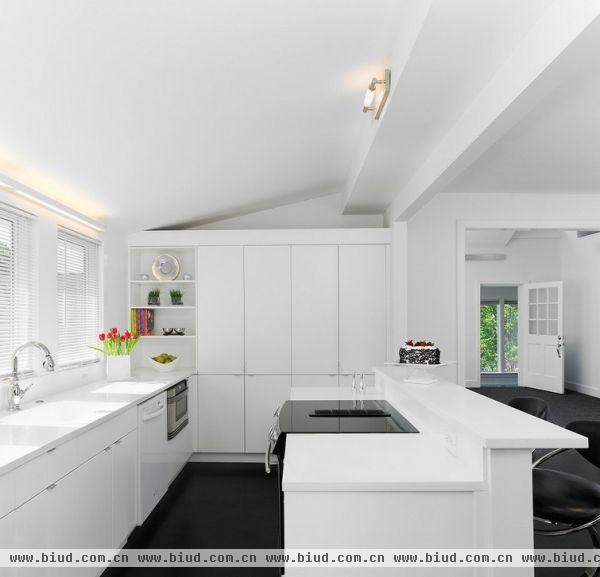 2012白色厨房室内装修效果图