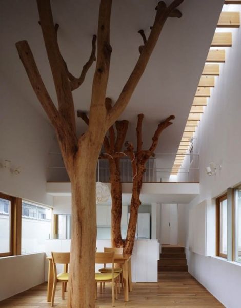 极简主义树木复式设计