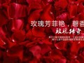 丽莎淋浴房：《玫瑰传奇》惊艳上海厨卫展