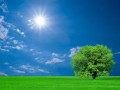 低碳生活 首选美大太阳能