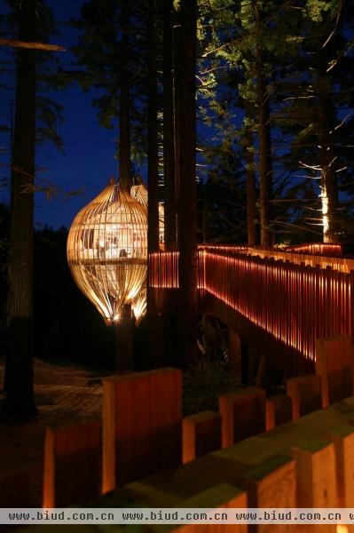超凡脱俗的用餐体验 树灯笼餐厅创意设计(图)