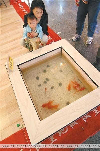 某品牌地板打出“可以养鱼的地板”口号以印证其“环保”的概念。