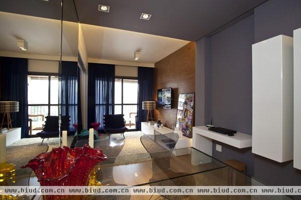 单身贵族的最爱空间 45平米趣味巴西公寓(图)
