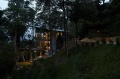 与自然共舞 马来西亚的热带风情林中屋（图）