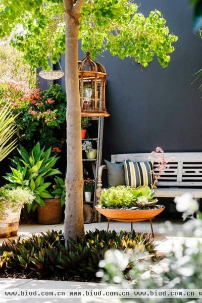 入户式花园 澳大利亚现代风格室内设计（图）