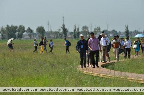 与会领导及嘉宾参观蒙草抗旱大青山万亩草原建设现场