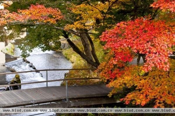 日本长野县禅意酒店 Hoshinoya山野间(图)