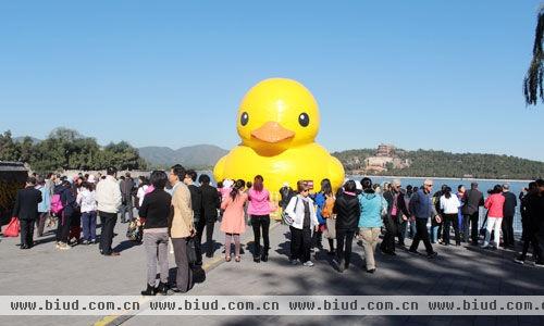 众多游人前来告别“大黄鸭”