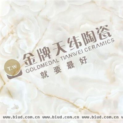 金牌天纬陶瓷“晶世尚品”：TWB88301