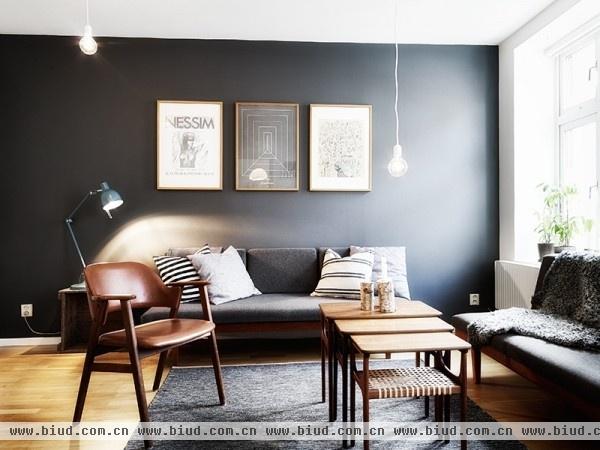瑞典56平深色公寓改造 现代简约软装家(组图)