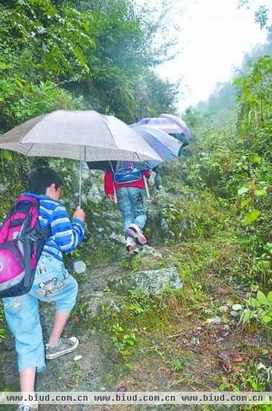 学生摸黑爬悬崖上学 走几小时山路上课想睡觉