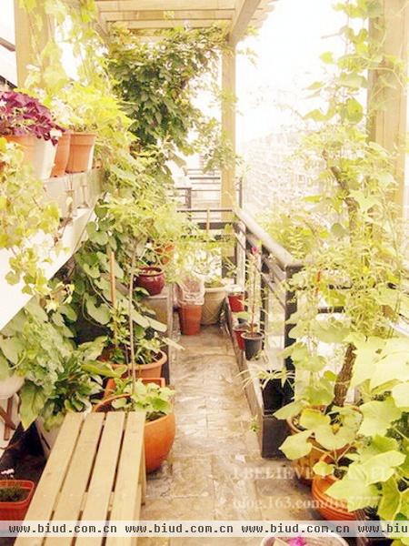 22个阳台小空间 挤出繁花盛开春意花园（图）