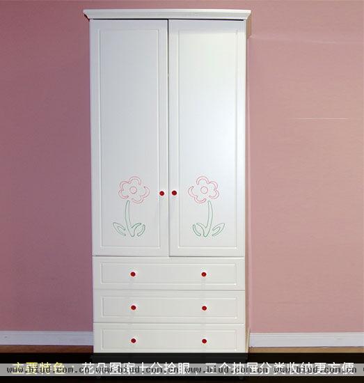 白色花朵两门衣柜