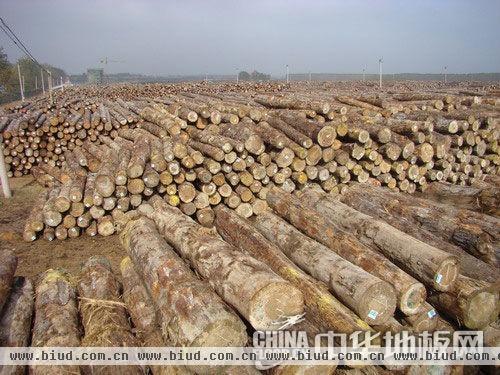 木材资源稀缺 其安全问题或将成重大资源战略问题