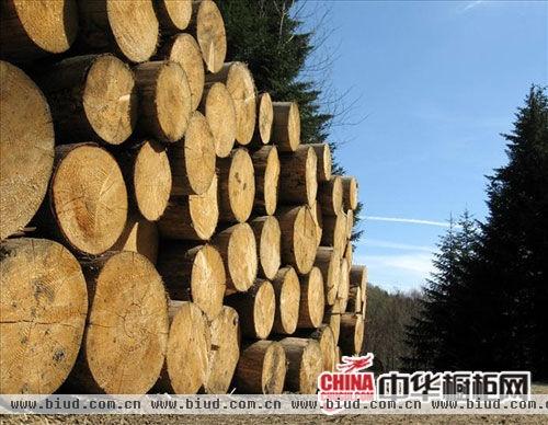 首批木材合法试点名单公布 橱柜原材企业需跟进 