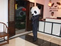 《好多熊猫酒店》走到哪都有熊猫接待你