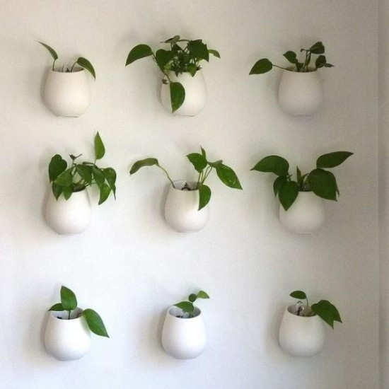 24款悬挂绿色植物摆设 给家居带来活力(组图)