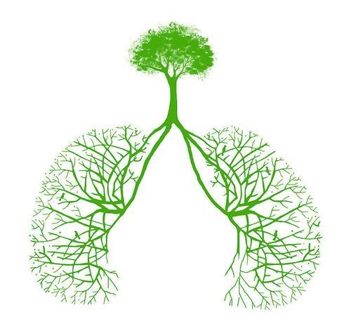 警惕空气污染伤身体 雾霾吸多了最伤肺？ 