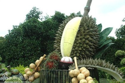 热带风情水果园