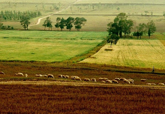 中国坚守18亿亩耕地红线 提高农民收入是改善关键