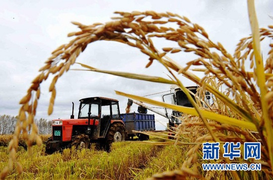 中国坚守18亿亩耕地红线 提高农民收入是改善关键