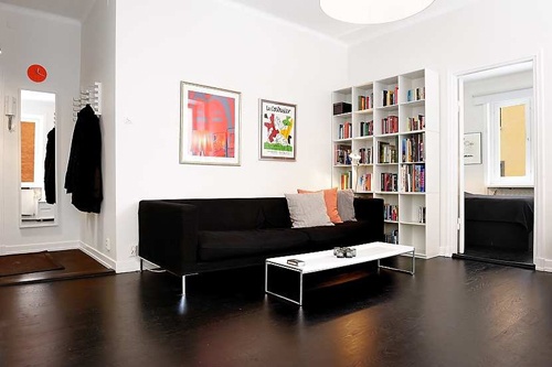 黑色地板衬托爽朗氛围 47平软装个性公寓(图)
