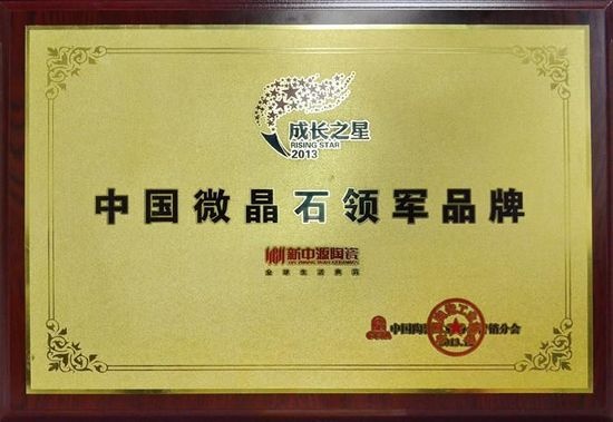 新中源陶瓷获颁“中国微晶石领军品牌”