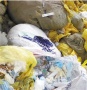 浙江永康起获10吨医疗废品 欲被制成塑料用品