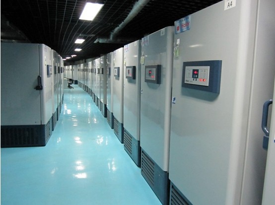 全球最大超低温冰箱单体工程---中华骨髓库