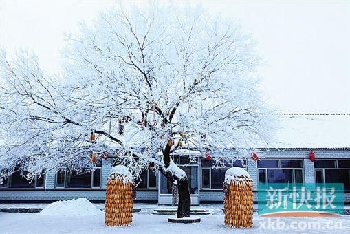 跟爸爸妈妈去哪儿? 雪乡童话白色之旅