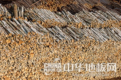 黑龙江原木停止采伐 地板企业原材料或“叫急”