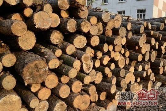国内外木材价格持续上涨
