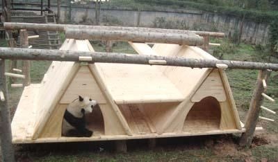大熊猫——全友家居的绿色代言