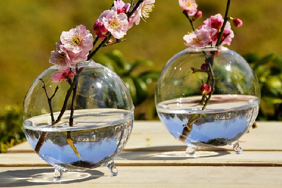 圆形透明玻璃花瓶